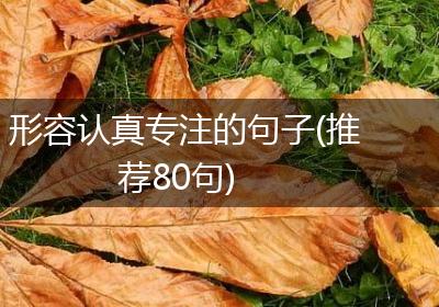 形容认真专注的句子(推荐80句)