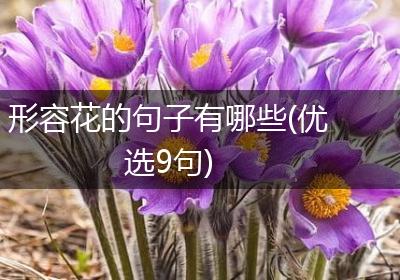 形容花的句子有哪些(优选9句)