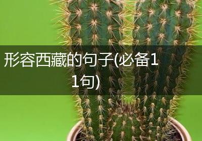 形容西藏的句子(必备11句)