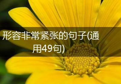 形容非常紧张的句子(通用49句)