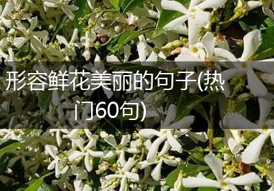 形容鲜花美丽的句子(热门60句)