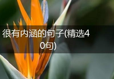 很有内涵的句子(精选40句)