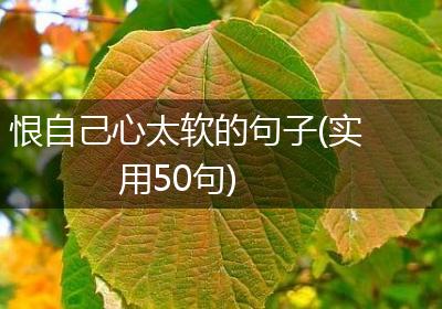 恨自己心太软的句子(实用50句)