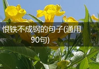 恨铁不成钢的句子(通用90句)