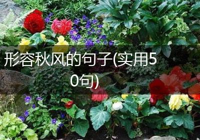 形容秋风的句子(实用50句)