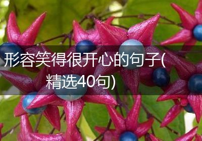 形容笑得很开心的句子(精选40句)