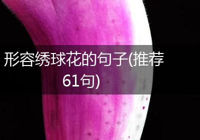 形容绣球花的句子(推荐61句)