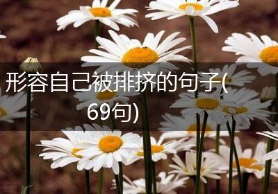 形容自己被排挤的句子(69句)