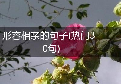形容相亲的句子(热门30句)