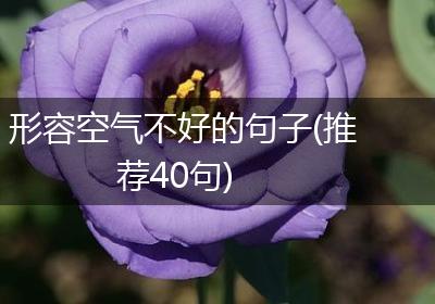 形容空气不好的句子(推荐40句)