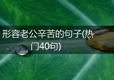 形容老公辛苦的句子(热门40句)