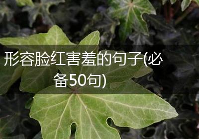 形容脸红害羞的句子(必备50句)