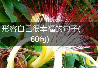 形容自己很幸福的句子(60句)