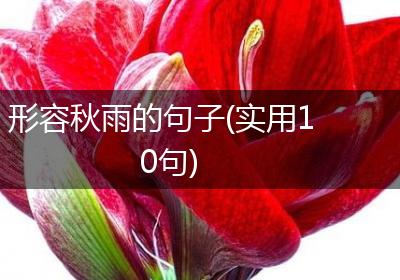 形容秋雨的句子(实用10句)