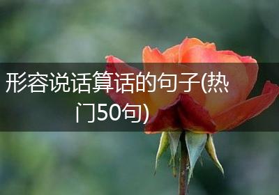 形容说话算话的句子(热门50句)