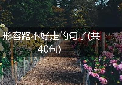 形容路不好走的句子(共40句)