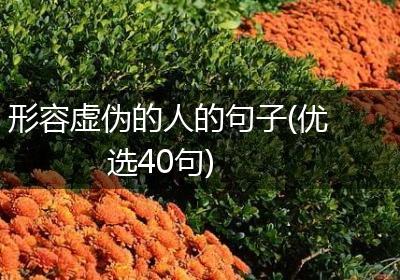 形容虚伪的人的句子(优选40句)