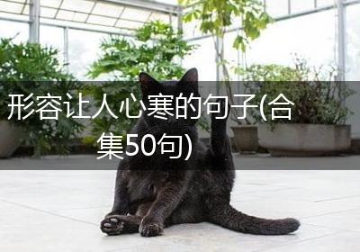 形容让人心寒的句子(合集50句)