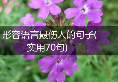 形容语言最伤人的句子(实用70句)
