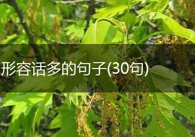 形容话多的句子(30句)