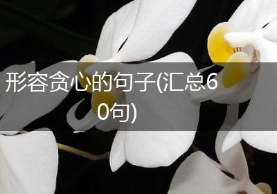 形容贪心的句子(汇总60句)