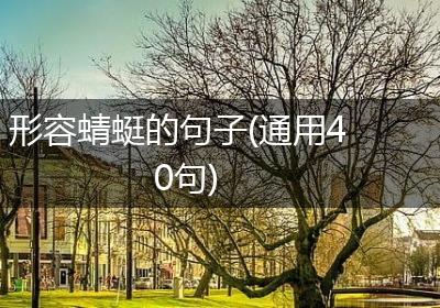 形容蜻蜓的句子(通用40句)