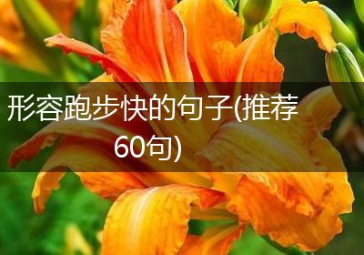 形容跑步快的句子(推荐60句)