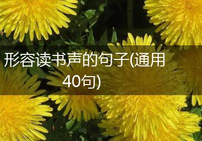 形容读书声的句子(通用40句)