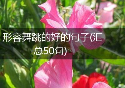 形容舞跳的好的句子(汇总50句)