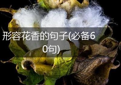 形容花香的句子(必备60句)