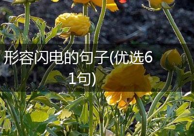 形容闪电的句子(优选61句)