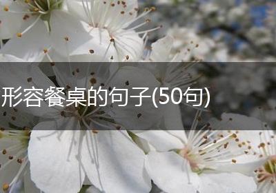 形容餐桌的句子(50句)