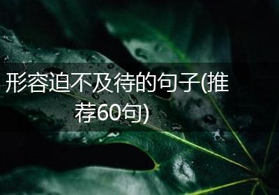 形容迫不及待的句子(推荐60句)