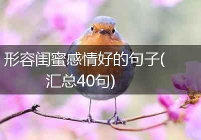 形容闺蜜感情好的句子(汇总40句)