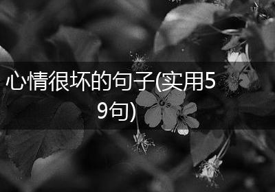 心情很坏的句子(实用59句)