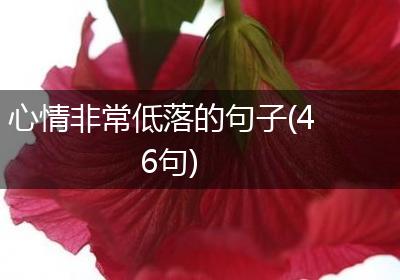 心情非常低落的句子(46句)