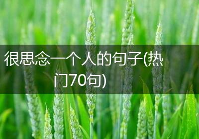 很思念一个人的句子(热门70句)