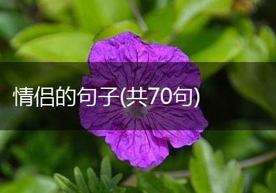 情侣的句子(共70句)