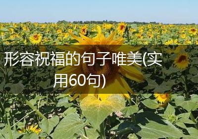 形容祝福的句子唯美(实用60句)