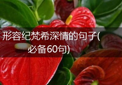形容纪梵希深情的句子(必备60句)