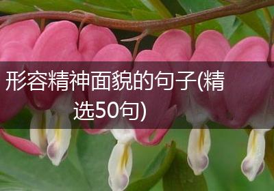 形容精神面貌的句子(精选50句)