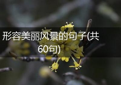形容美丽风景的句子(共60句)