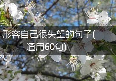 形容自己很失望的句子(通用60句)