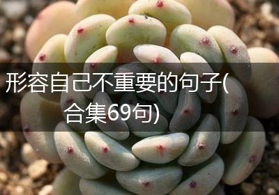 形容自己不重要的句子(合集69句)