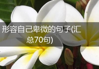 形容自己卑微的句子(汇总70句)