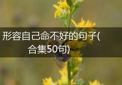 形容自己命不好的句子(合集50句)