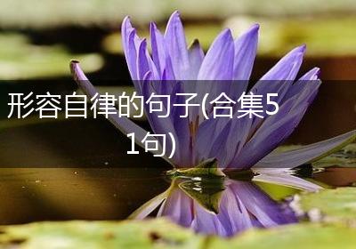 形容自律的句子(合集51句)