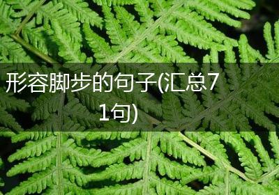 形容脚步的句子(汇总71句)