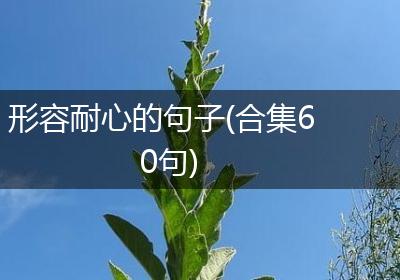 形容耐心的句子(合集60句)