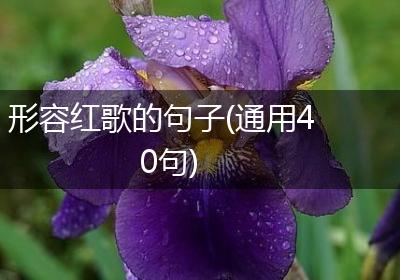 形容红歌的句子(通用40句)